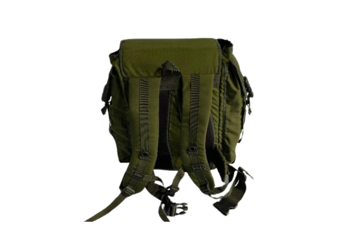 TAS1 (1)