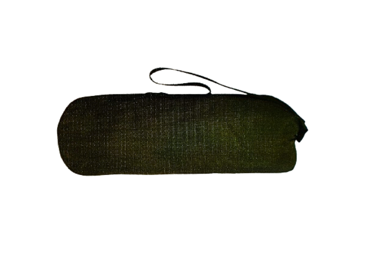 TAS1 (10)