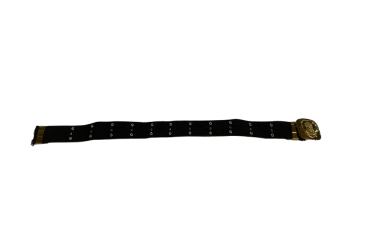 TAS1 (11)