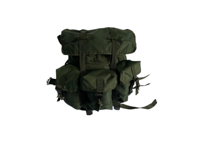 TAS1 (4)