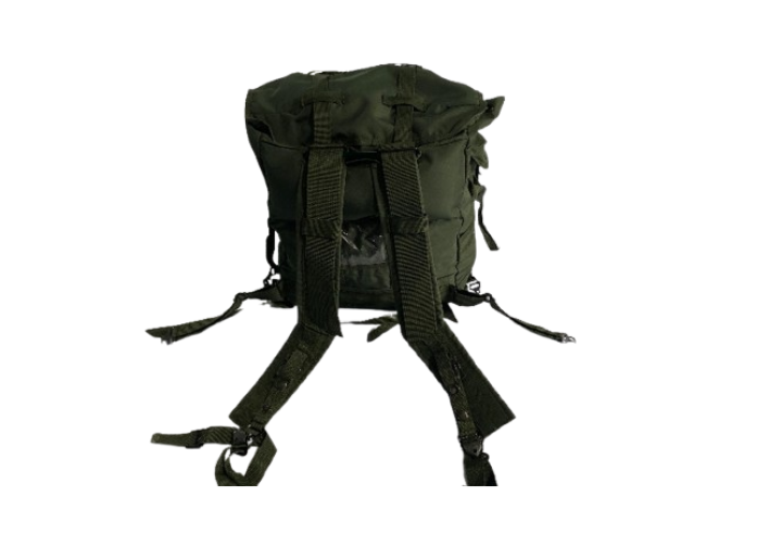 TAS1 (5)